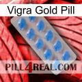 Vigra Gold Pill 22